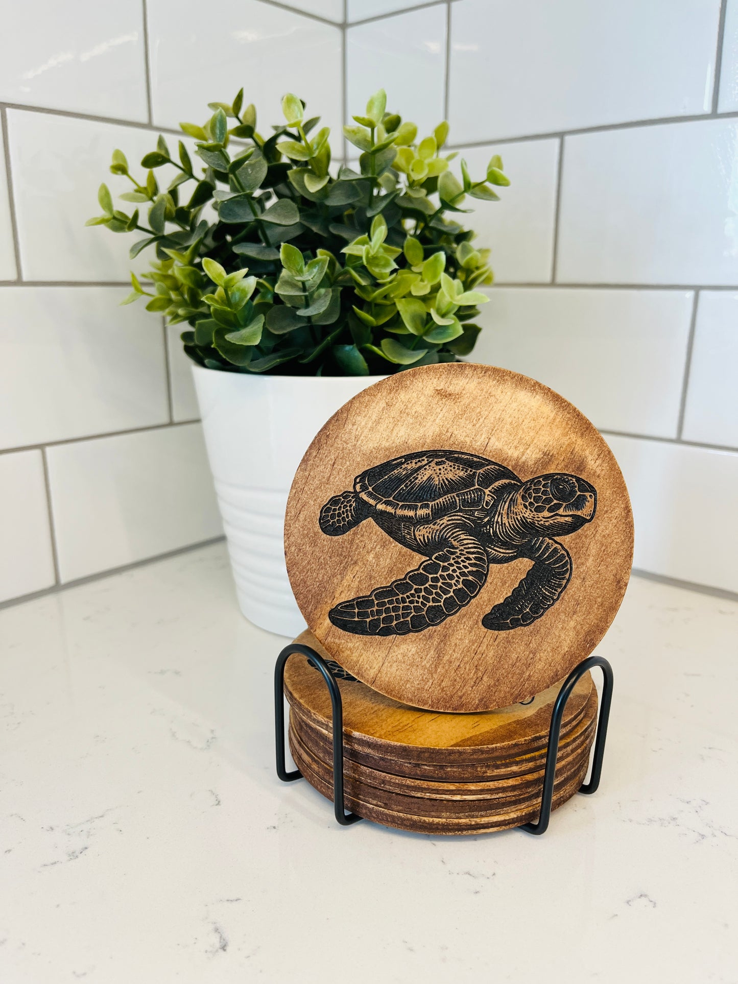 Coaster Set - Turtles