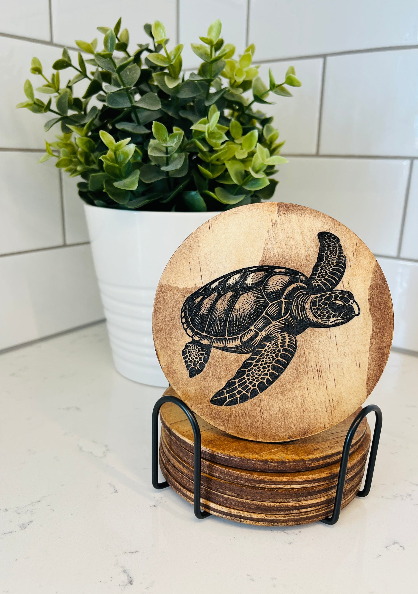 Coaster Set - Turtles