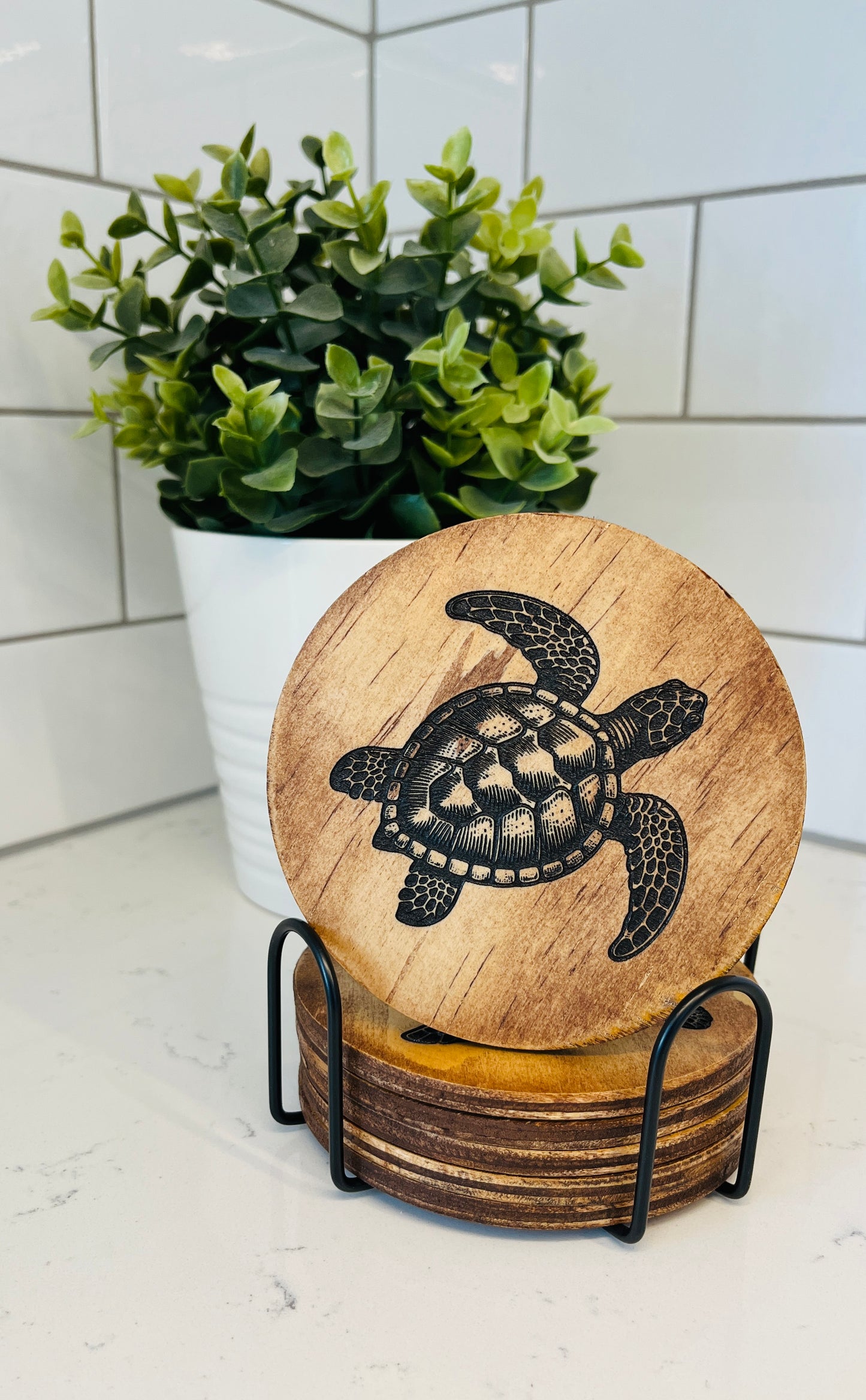 Coaster Set - Turtles