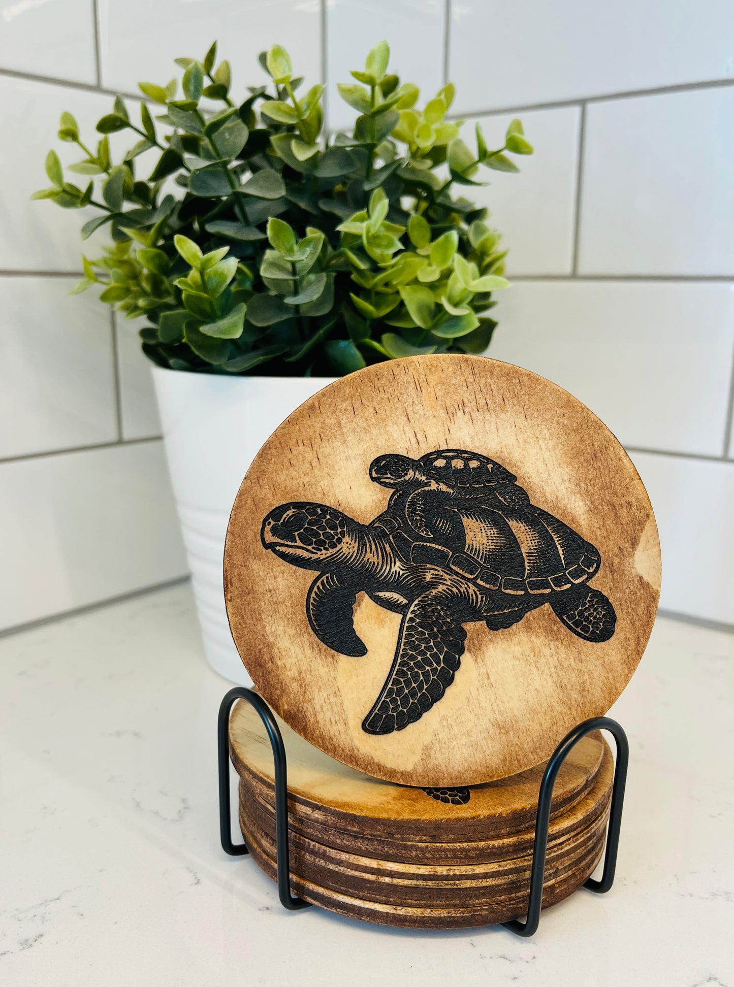 Coaster Set - Turtles