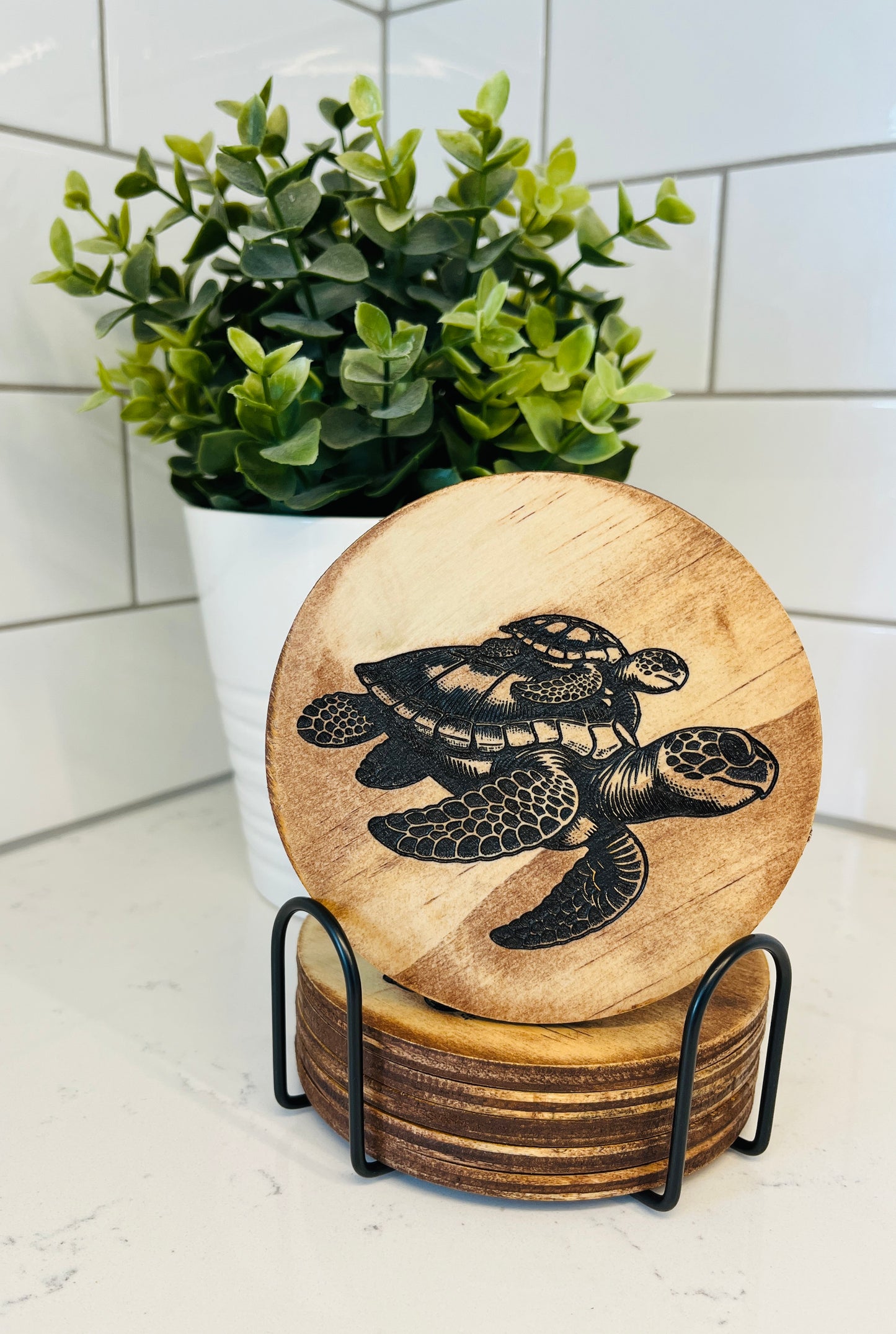 Coaster Set - Turtles