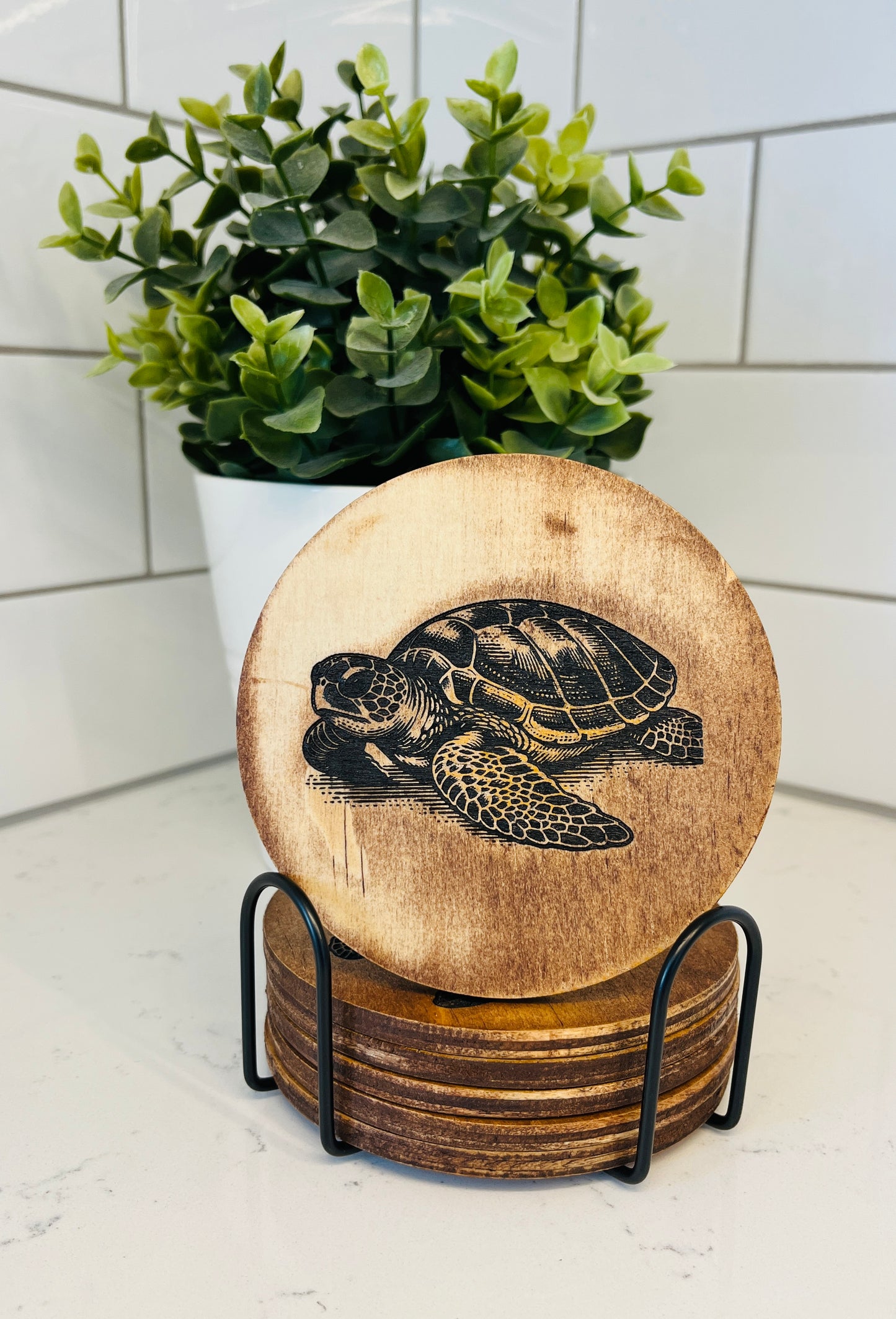 Coaster Set - Turtles