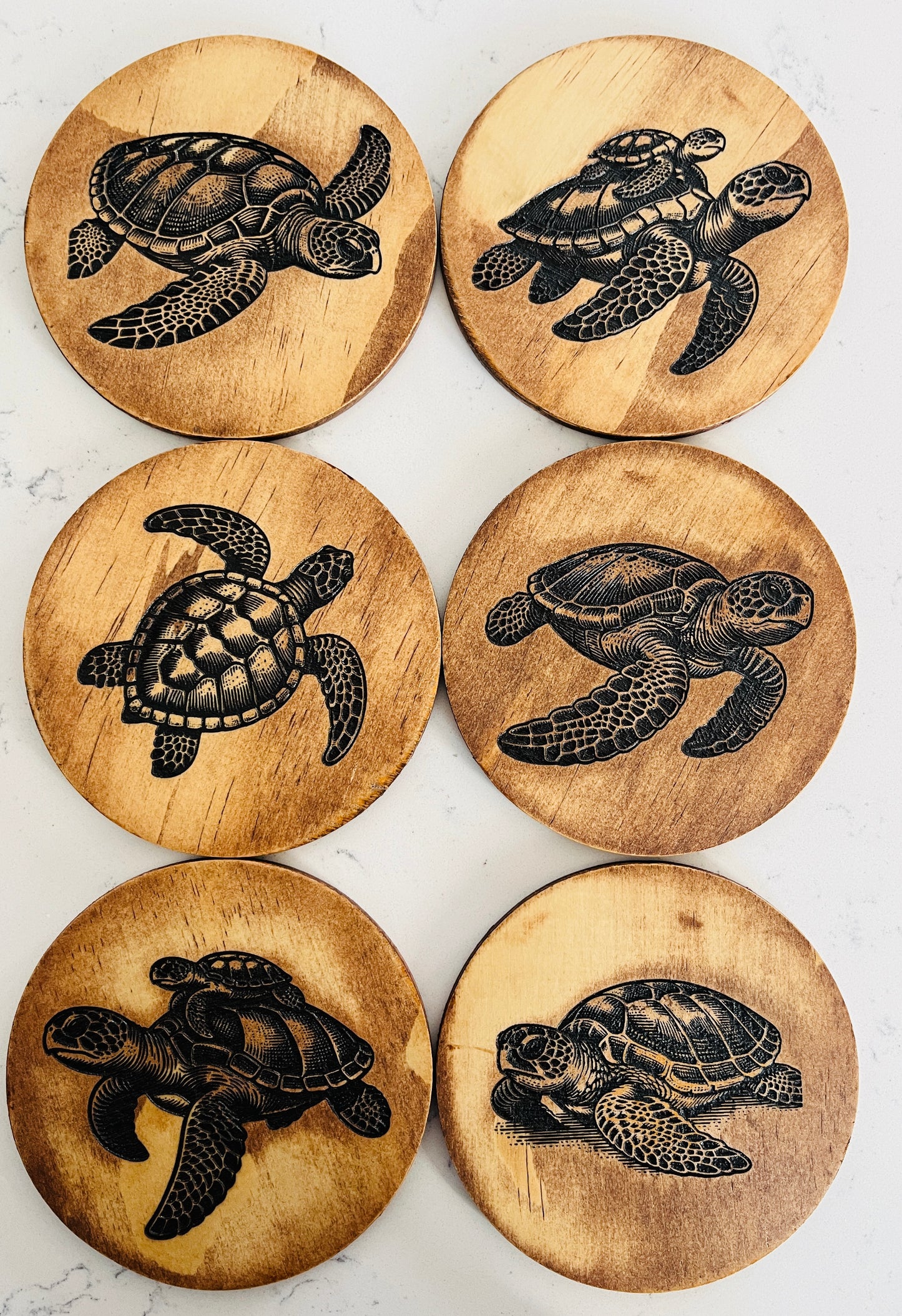 Coaster Set - Turtles