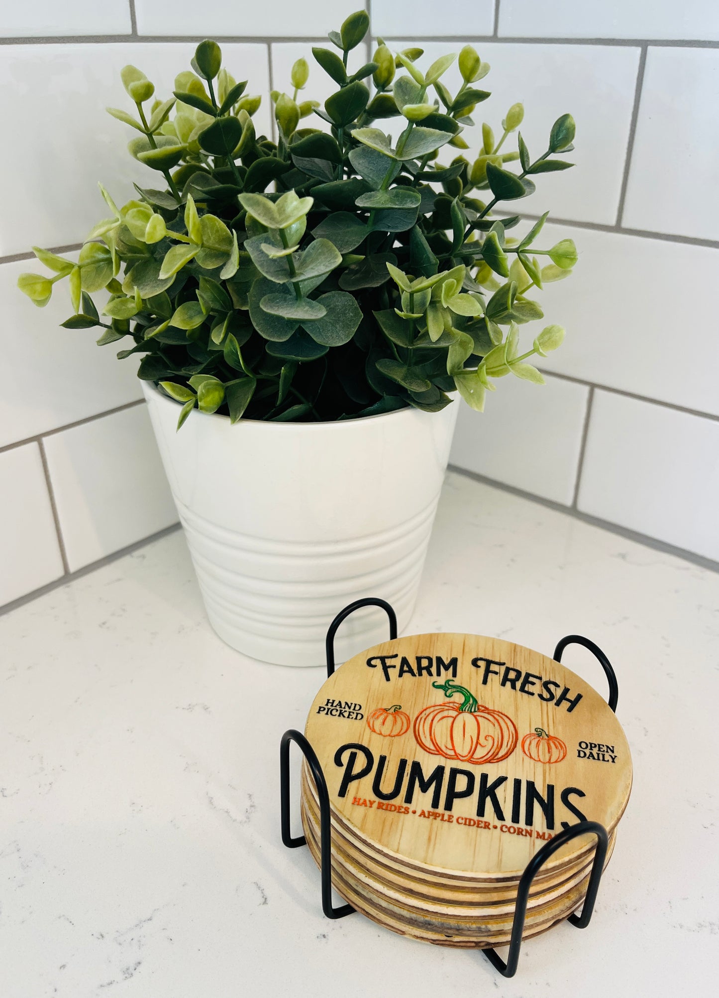 Coaster Set - Farm Fresh Pumpkins