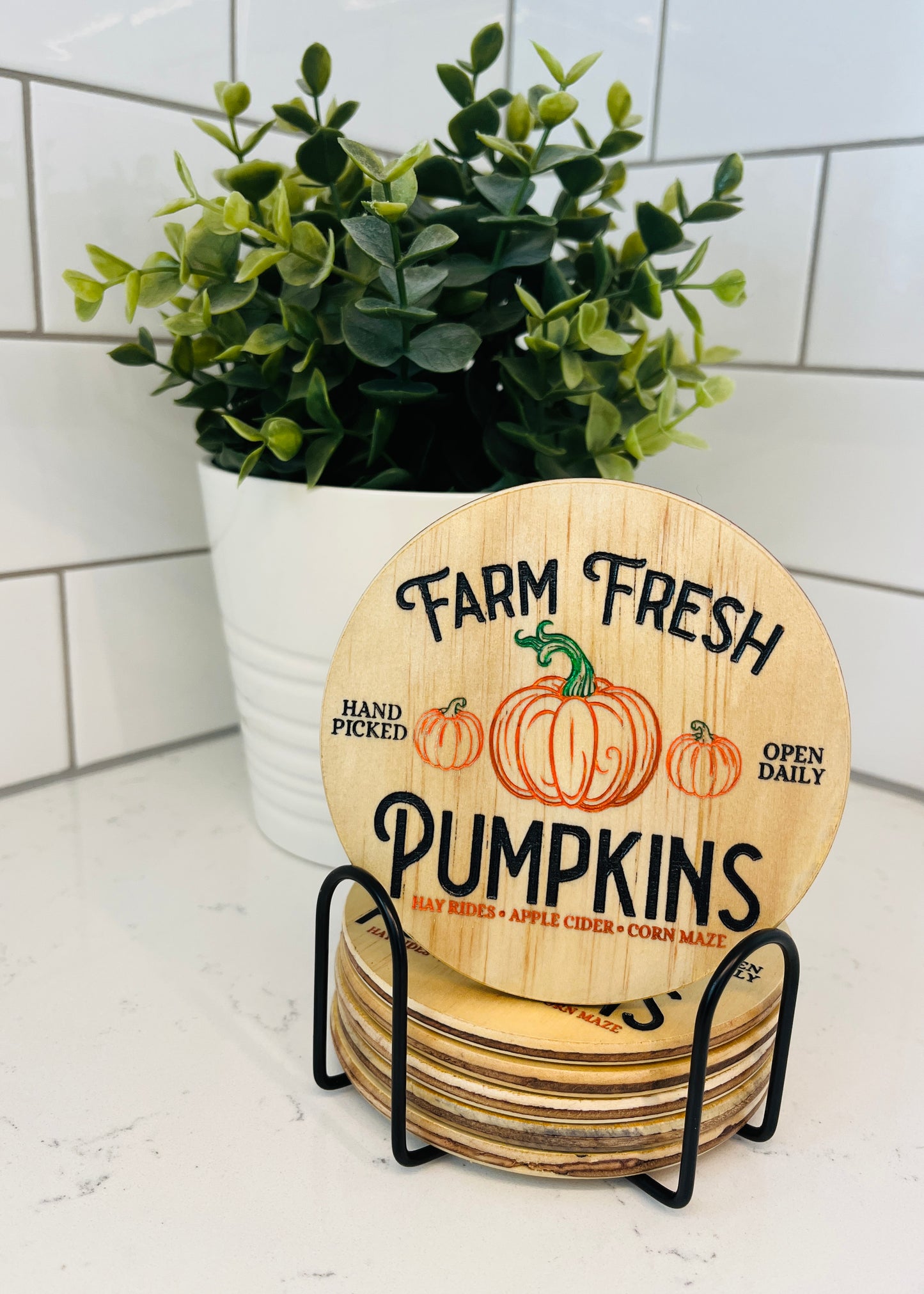 Coaster Set - Farm Fresh Pumpkins